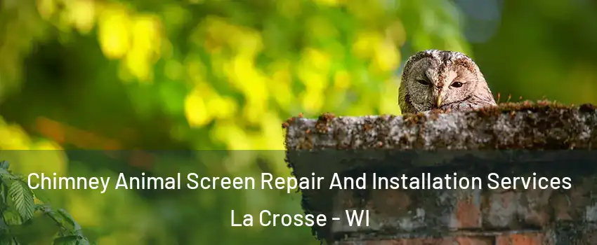  Chimney Animal Screen Repair And Installation Services La Crosse - WI