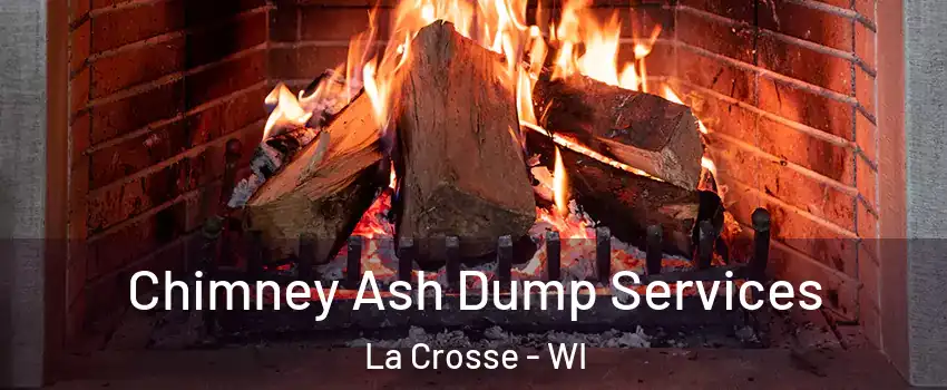  Chimney Ash Dump Services La Crosse - WI