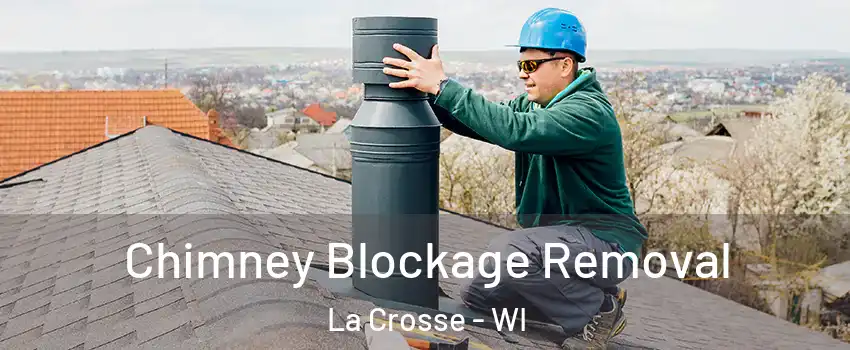  Chimney Blockage Removal La Crosse - WI