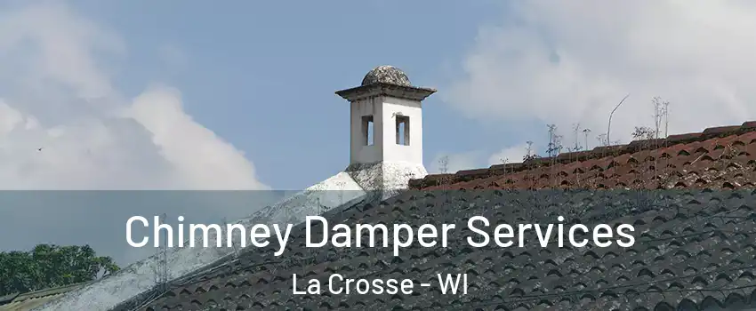 Chimney Damper Services La Crosse - WI