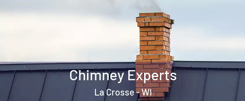 Chimney Experts La Crosse - WI