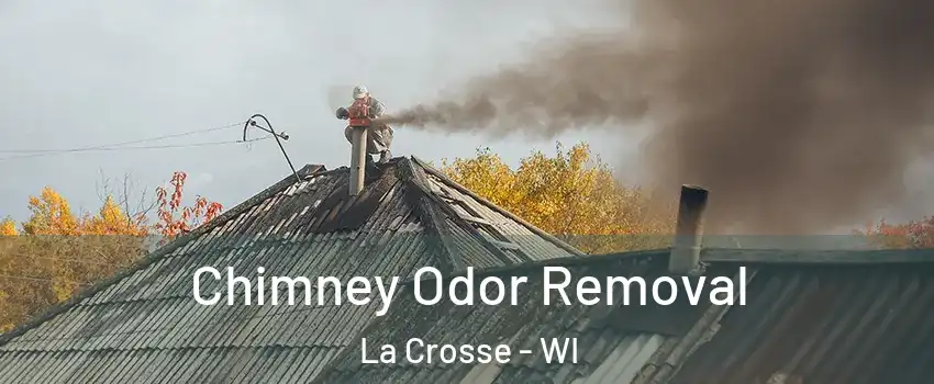  Chimney Odor Removal La Crosse - WI