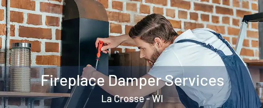  Fireplace Damper Services La Crosse - WI