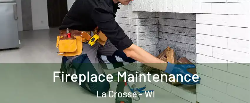  Fireplace Maintenance La Crosse - WI