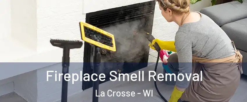  Fireplace Smell Removal La Crosse - WI