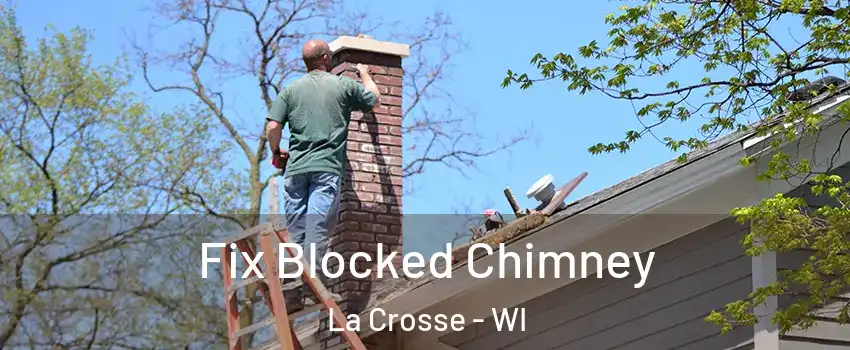  Fix Blocked Chimney La Crosse - WI
