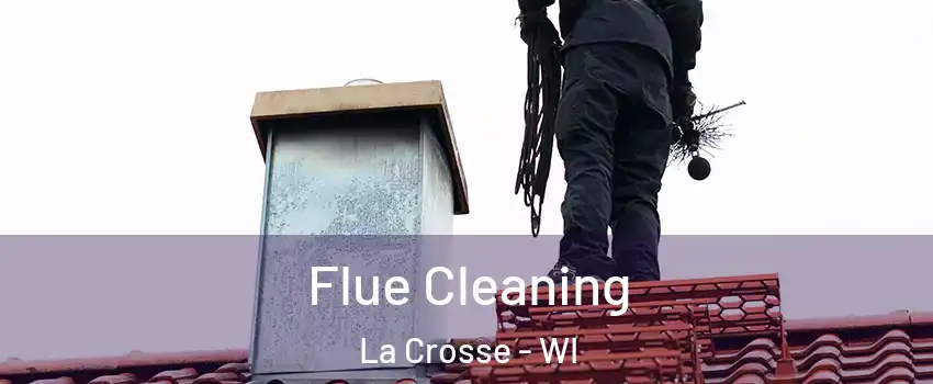  Flue Cleaning La Crosse - WI