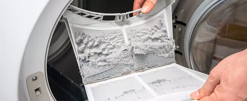 Best Dryer Lint Removal Company in La Crosse, Wisconsin