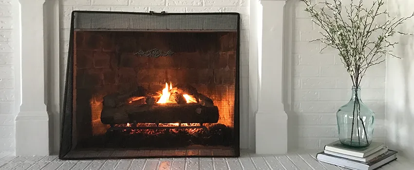 Cost-Effective Fireplace Mantel Inspection And Maintenance in La Crosse, WI